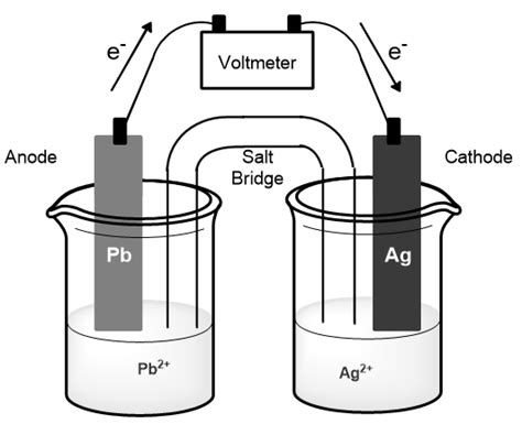 Which Statement Describes The Flow Of The Cations And Anions In T