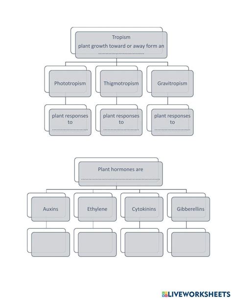 Plant Responses 812465 Mariamksg Live Worksheets