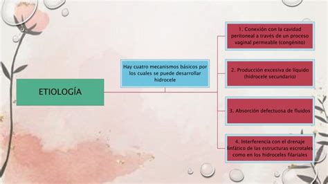 Hidrocele Hetmocele Varicocele Espermatocele Pptx