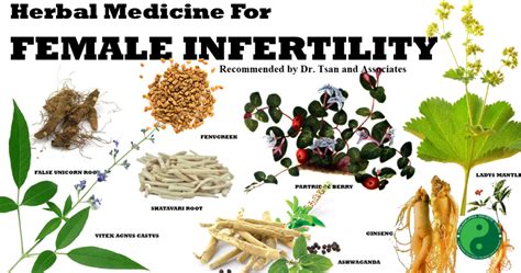 Infertility Treatments Philadelphia Holistic Clinic Dr Tsan And