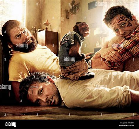 The Hangover Part Ii Zach Galifianakis Bradley Cooper Ed Helms The