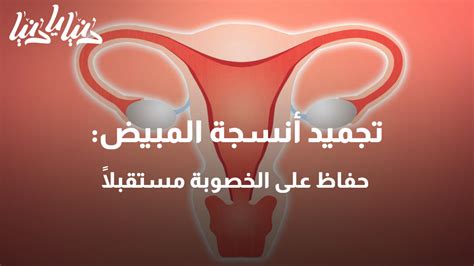 برنامج دنيا يا دنيا طب وصحة تجميد أنسجة المبيض حفاظ على الخصوبة