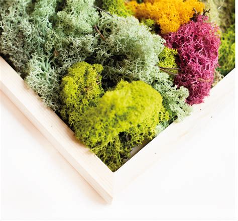 Moss Art Mora Approved