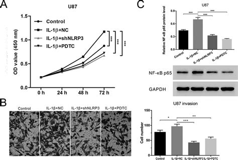 Nlrp3 Silencing Or Nf Kb Blockage Abrogated Il 1b Increased Cell