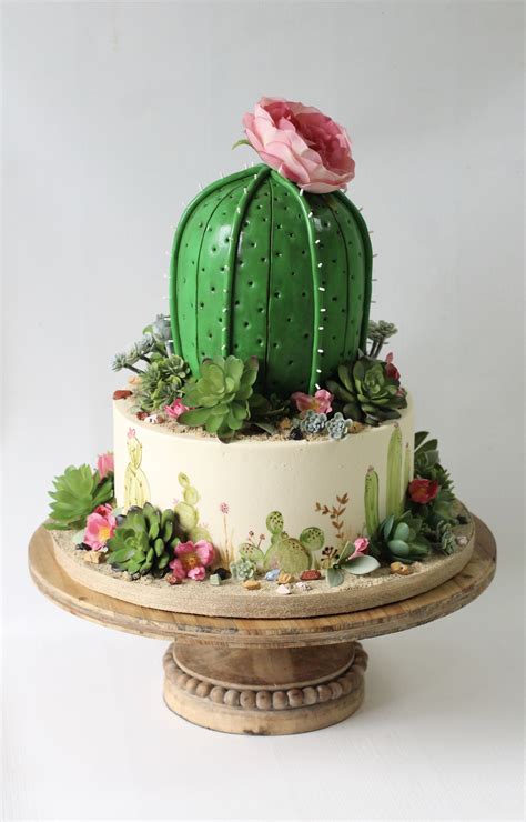 Cactus Cake Cactus Cake Succulent Cake New Birthday Cake