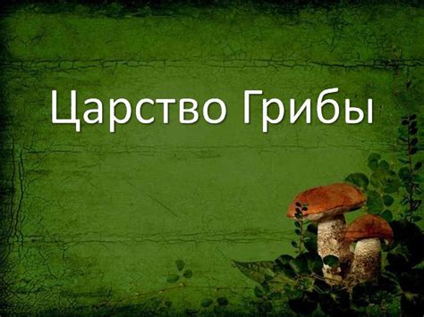 Царство грибы - презентация онлайн