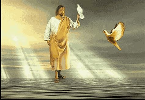 Jesus As A Dove