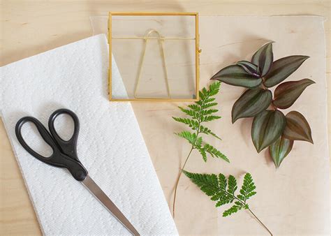 Wild Interiors — Add Natural Decor with DIY Pressed Leaf Art