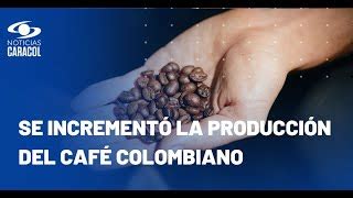 Así está el panorama actual de la producción y consumo de café en