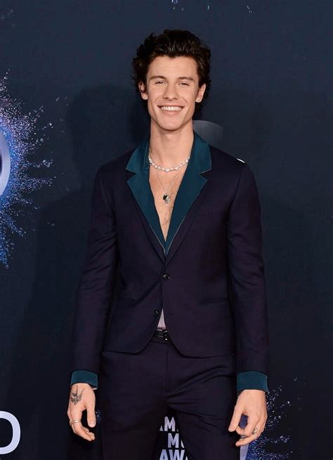 Shawn Mendes On The Red Carpet For The 2019 Amas