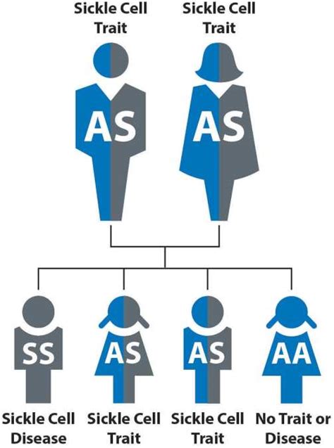 Family Trait - ClassNotes.ng