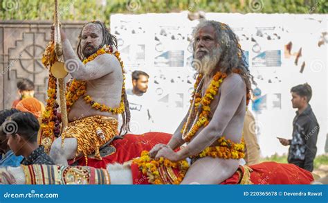 Indian Sadhus Coming To Kumbh Mela, Royal Welcome. Sadhus Sitting ...