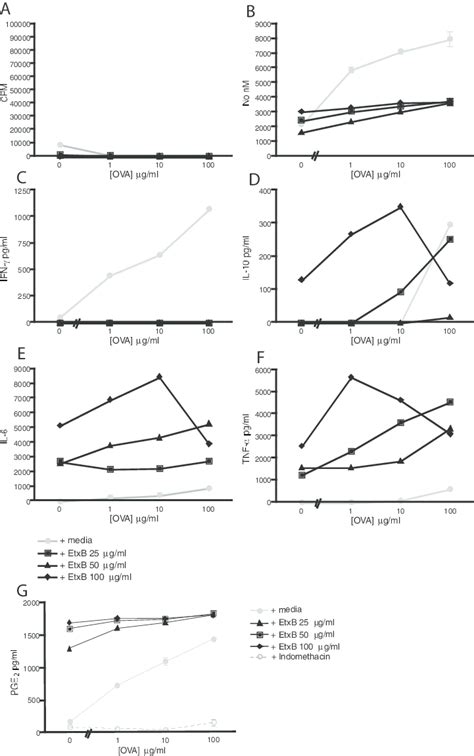 Bm Ms Were Cocultured With Cd4 Macs Enriched Ot Ii Splenocytes In The