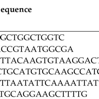 Serotypes and virulence genes of Salmonella isolated in the present ... 