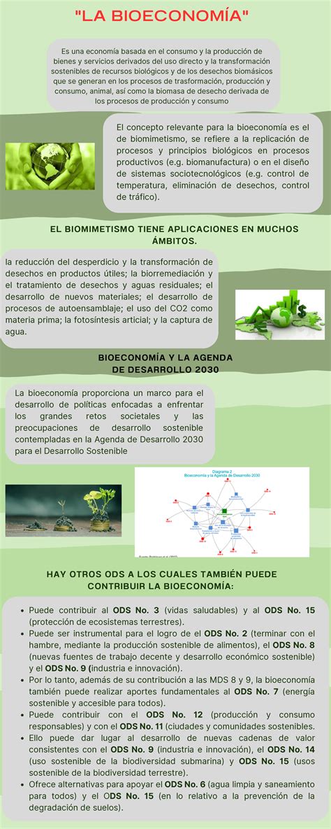 Tarea Infografía La Bioeconomía LA BIOECONOMÍA EL BIOMIMETISMO