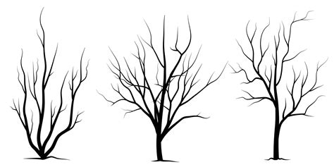 Black Branch Tree Or Naked Trees Silhouettes Set Hand Drawn Isolated Illustrations