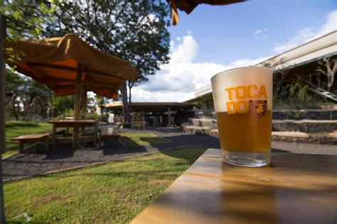 Toca Do Urso Promove Imers O Cervejeira Para Celebrar O Dia Da Mulher