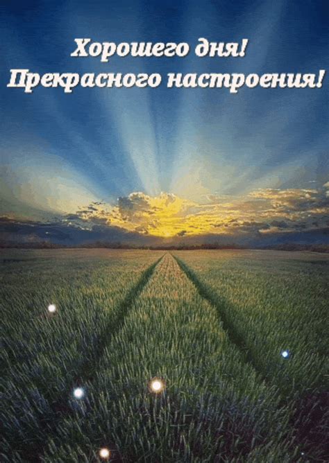 Картинки с надписью - Хорошего дня! Прекрасного настроения!.