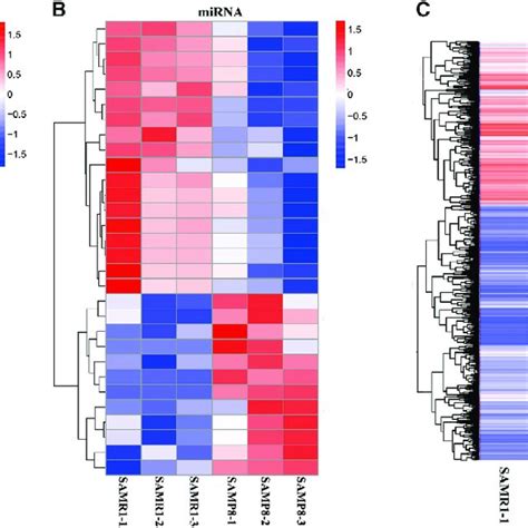 Cluster Analysis Using A Heatmap A Cluster Analysis Of Differentially