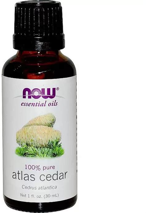 Now Foods Essential Oils 100 Pure Atlas Cedar Aceite Esencial De