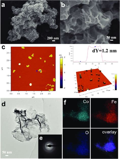 A B Sem C Afm And D Tem Images Of The As Prepared Fe Co Ons