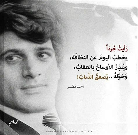 Tumblr S Source For Arabic Quotes Artofit