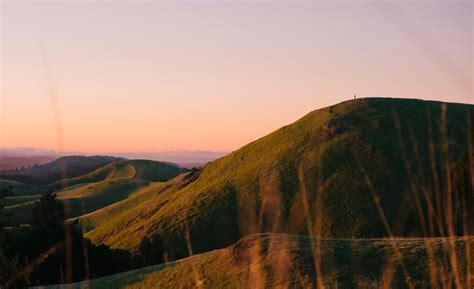 Mount-Tamalpais-State-Park - TMBtent