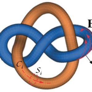 Magnetic link given by the linking of two magnetic flux tubes ...