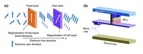 A Principle Of Spin Transfer Torque Switching A Magnetic Layer