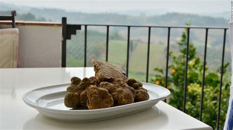 Italian White Truffles On The Hunt In Tuscanys Hills Cnn Travel