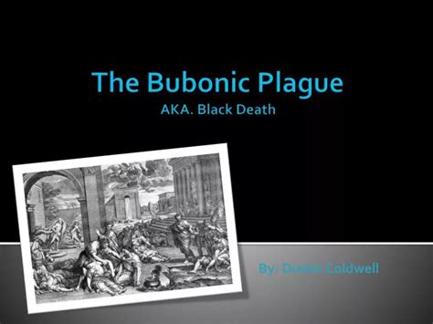 Ppt The Bubonic Plague Aka Black Death Powerpoint Presentation Free