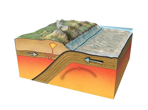 8 Facts You Need to Know About Tectonic Plates - WorldAtlas