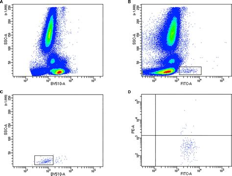 Comprehensive Phenotyping Of Endothelial Cells Using Flow 55 OFF