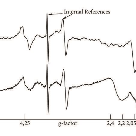 Typical Epr Spectra Of Samples Of Blood Of Donor And Patient