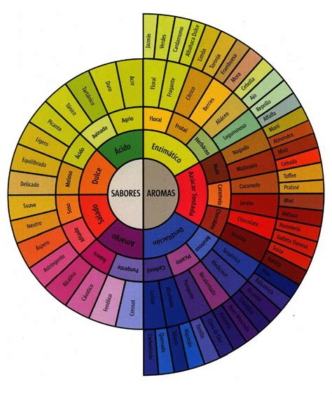 La rueda de sabores y aromas del café Café Exquisito PR