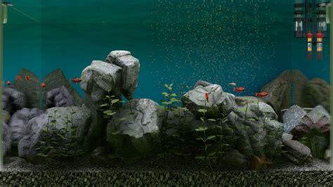 Biotope Aquarium Simulator | wingamestore.com