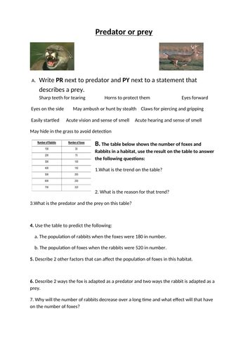 Predator or Prey Worksheet | Teaching Resources