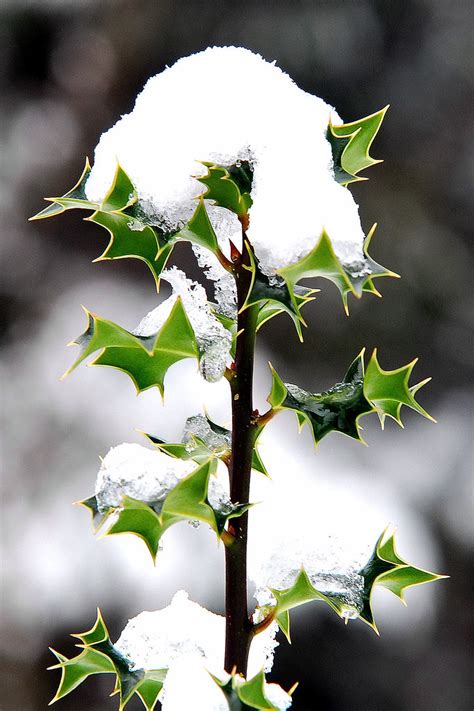 Gorbea En Invierno Gorka Bengoetxea Flickr