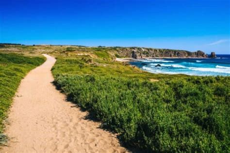 Phillip Island Beaches & Walks - Bunya By The Sea