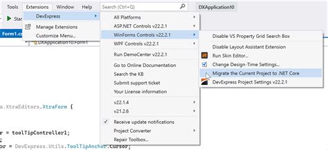 NET Core 6 Migration Notes WinForms WPF