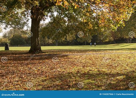 Beautiful Landscape Of The Dysart Park In The Fallgranthamuk Stock