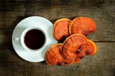 Reishi Mushroom Health Benefits - SunRise Mushrooms