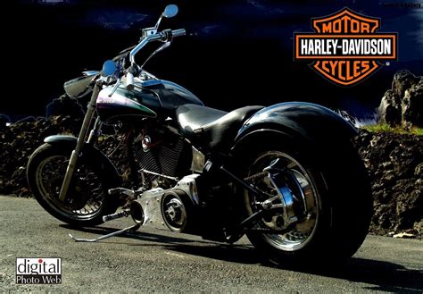 Cool Harley Davidson Wallpapers Top Free Cool Harley Davidson