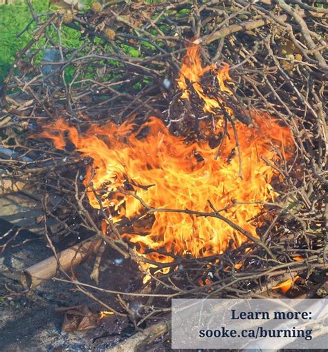 2021 2022 Backyard Burning Of Yard Waste In Sooke Permitted November