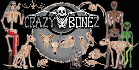 Holiday And Seasonal Crazy Bonez Pose N Stay Skeleton Current 1991 Now