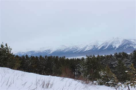 Fotos gratis paisaje bosque desierto montaña nieve invierno