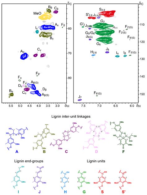 Polymers Free Full Text Structural Characterization Of The Milled