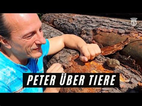 Peter Ber Den Umgang Mit Tieren Youtube