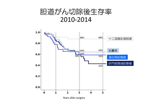 胆道がん内科｜がんの種類について｜がん研有明病院