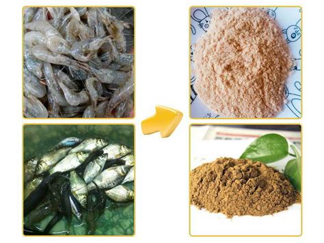 Fish Meal Production Line - Shuliy Fish Meal Machinery